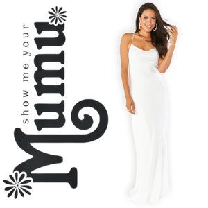 NEVER wWORN! SMYM * Tuscany Maxi Slip Ivory Sz S